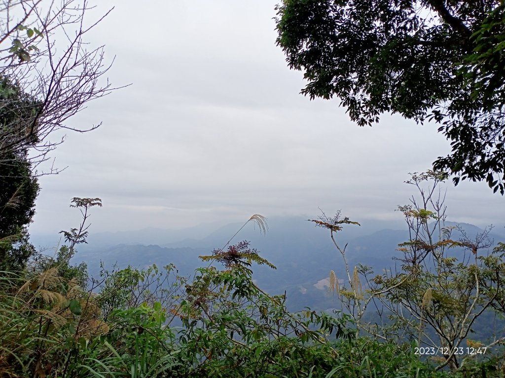 四訪苗栗的花果山-小百岳#037馬那邦山、雪霸國家公園管理處【小百岳集起來、苗栗-臺灣百大必訪步道】_2394350