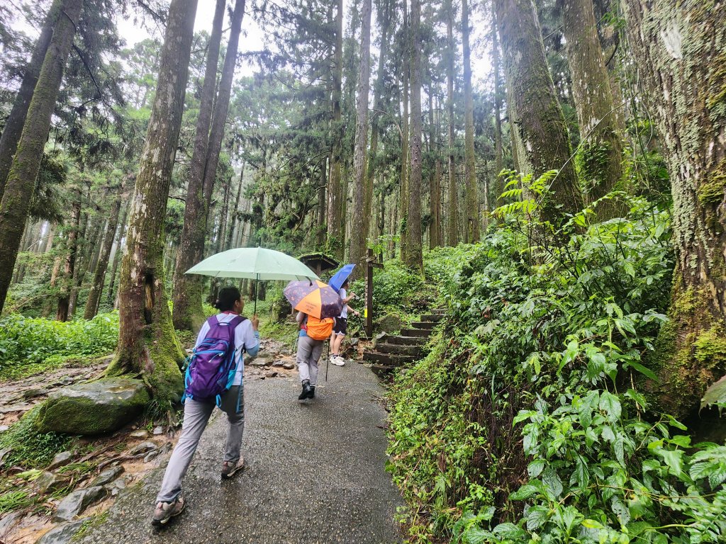 20250719頂湖上大凍山_2907129