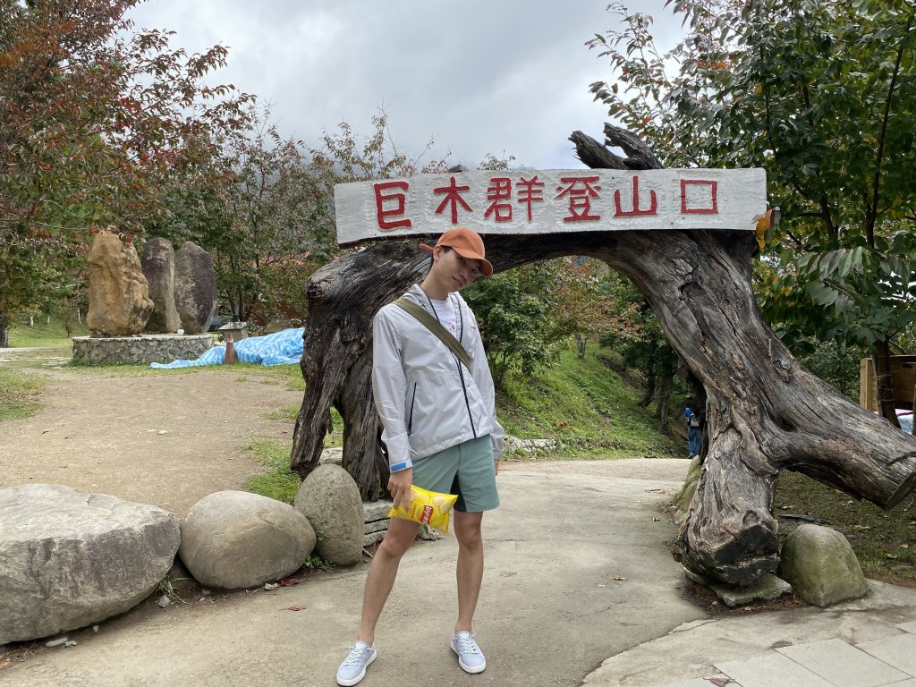 司馬庫斯神木群步道_1443098