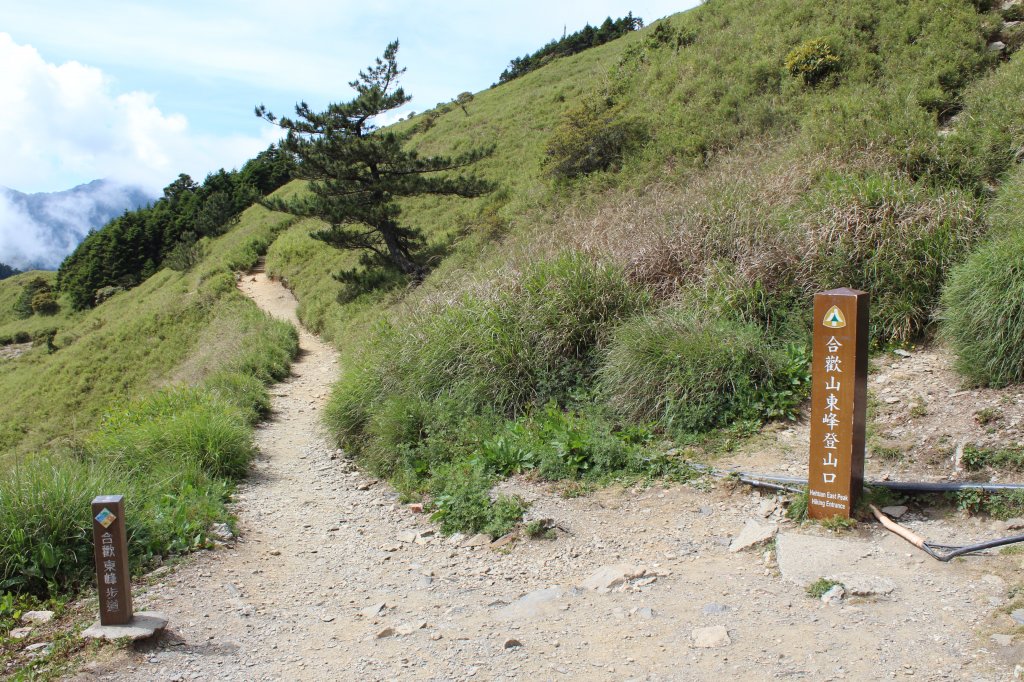 20200625南投合歡東峰_1020567