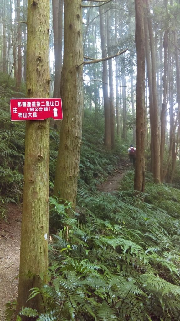 高台山，高島景觀台連走_388202