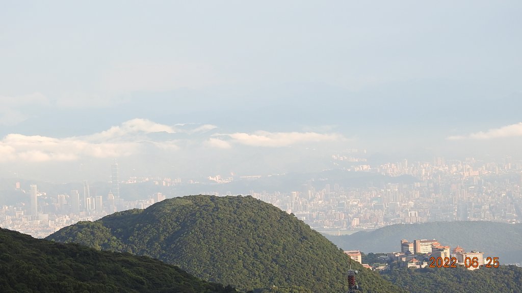 雲山水花鳥蝶-天龍國阿伯的日常6/25&26_1744367