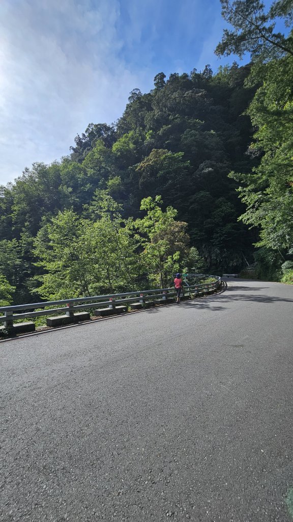 【被遺忘的南橫仙境】中之關、天池步道O繞10K_2798179