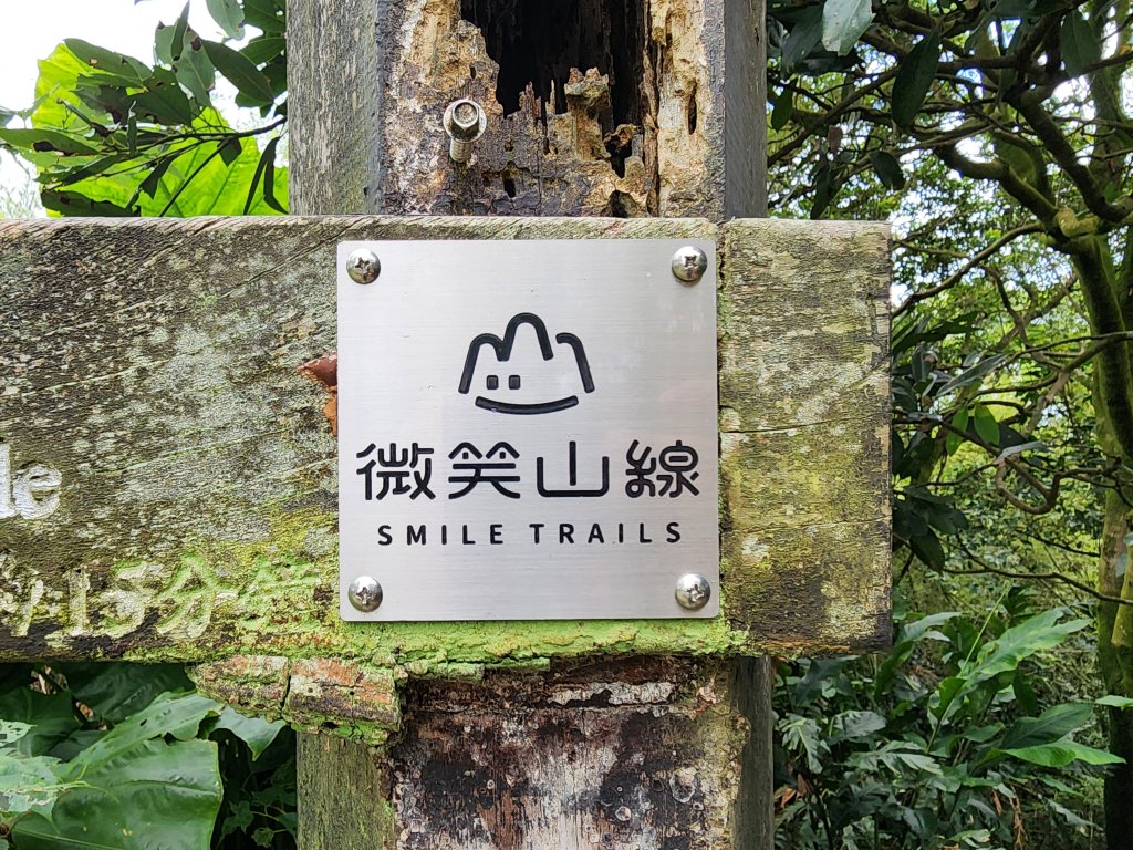 小百岳No.15⛰大棟山(龜崙山)_2849781