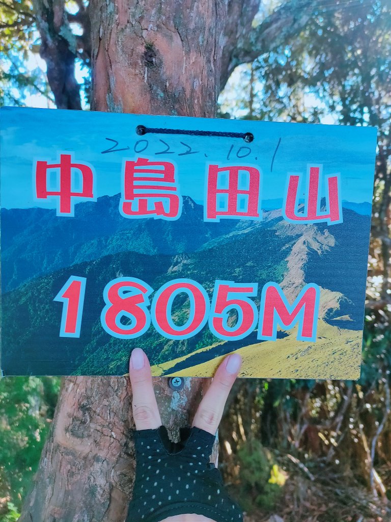 高島縱走（高台山、小島田山、中島田山、島田山）_1995568