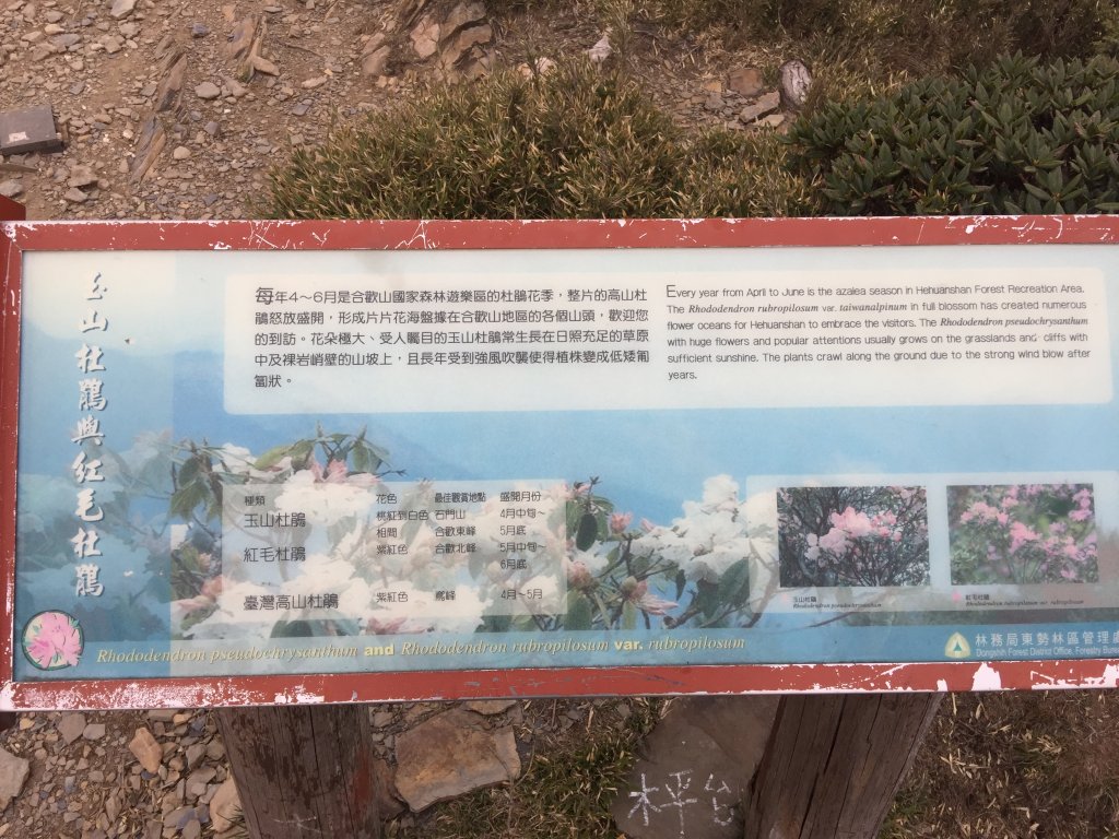 合歡主東峰_584834