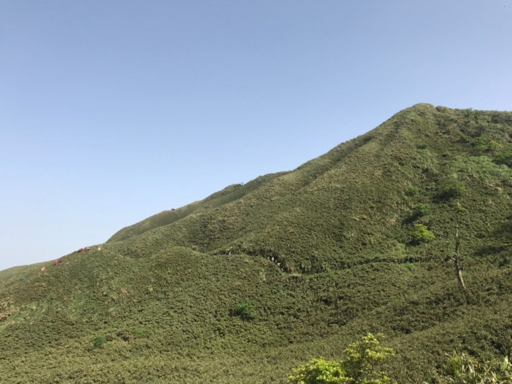 抹茶山、三角崙山、聖母山莊_2115244