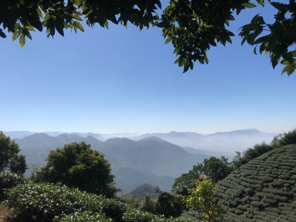 樟腦寮車站上獨立山奉天岩泡茶煮泡麵大巃頂看群峰美景_469957