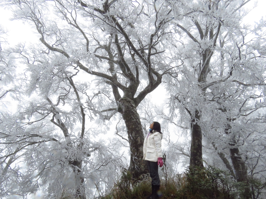 2018.2.3 太平山美麗沒有極限_263774