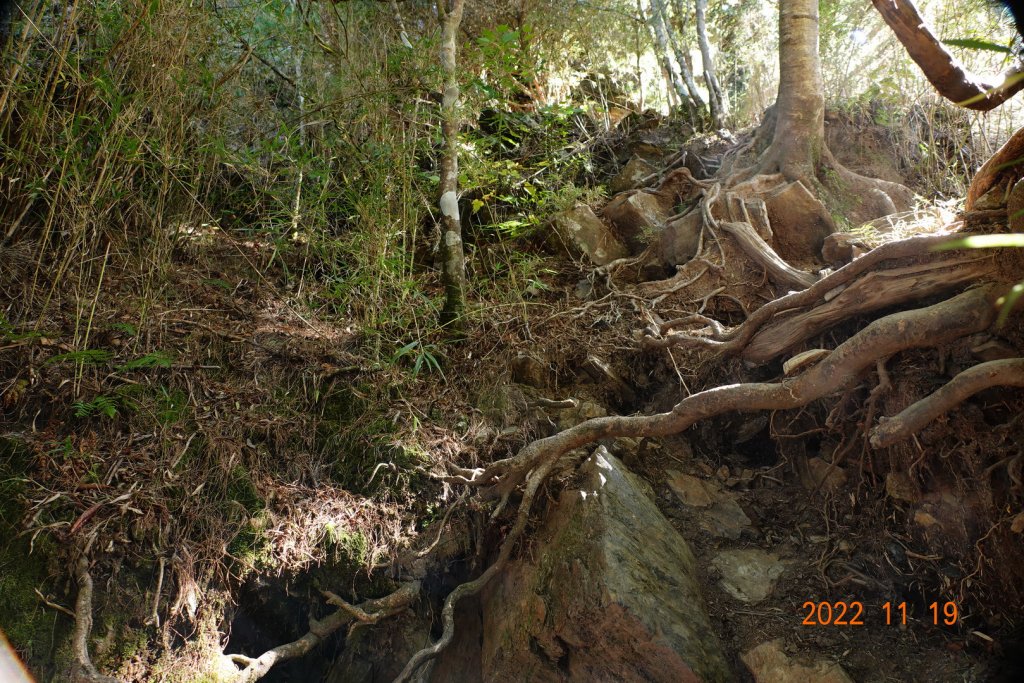 南投 信義 西巒大山_1922351