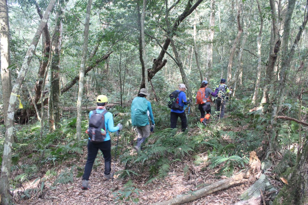 20230506高雄石南山京大山縱走_2145037