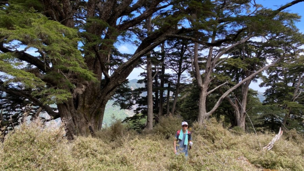 楠梓仙溪上南玉山_1373013