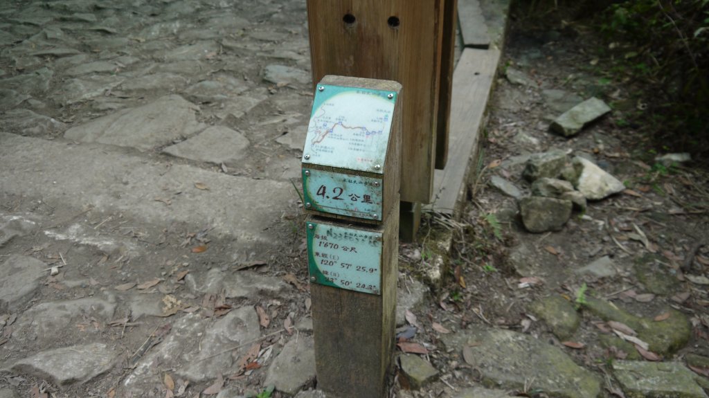 水社大山登山健行趣(中級山)_1510858