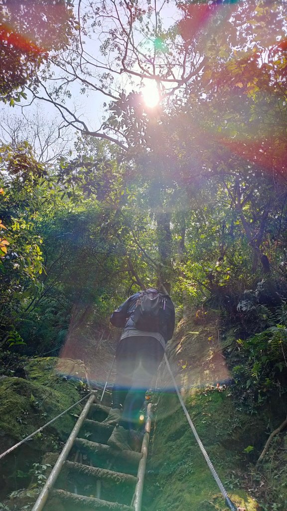 小百岳系列之天上山_1334765