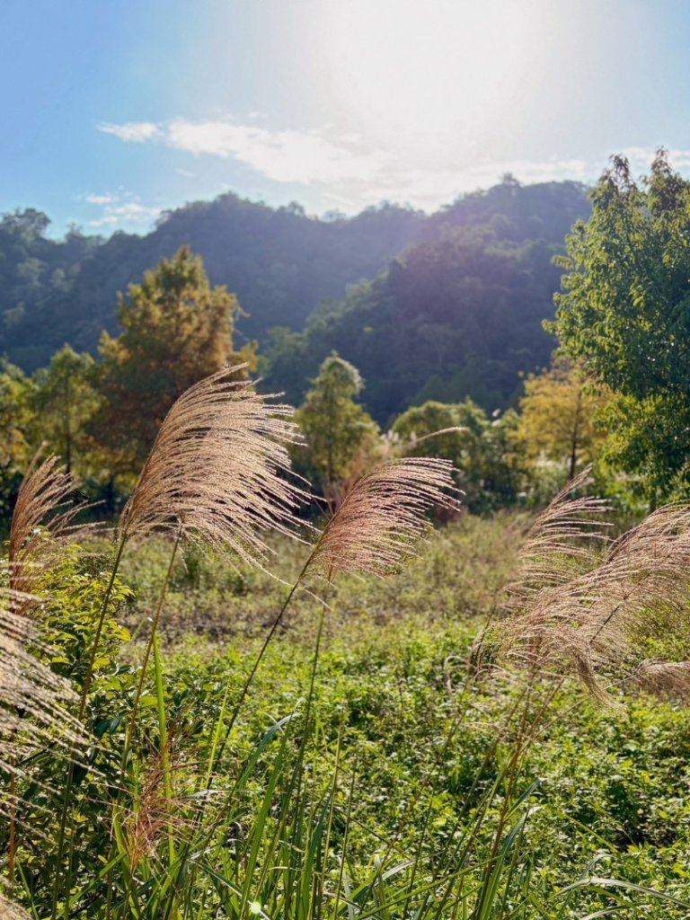 宜蘭_望龍三山&北后寺_2984028
