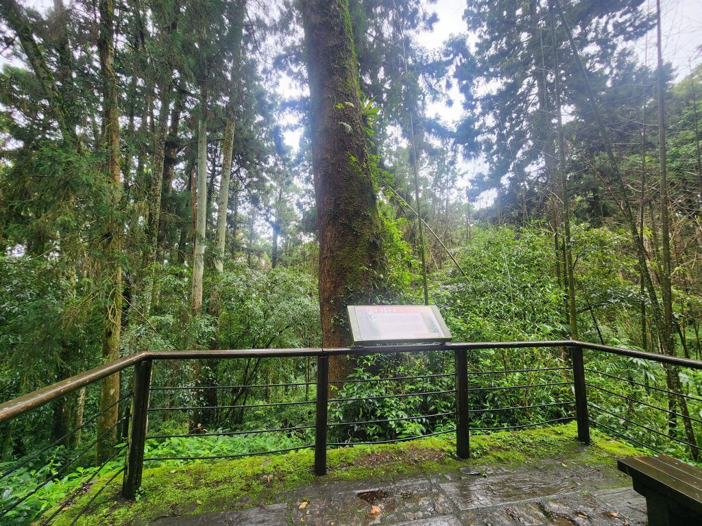 20250719頂湖上大凍山_2907148