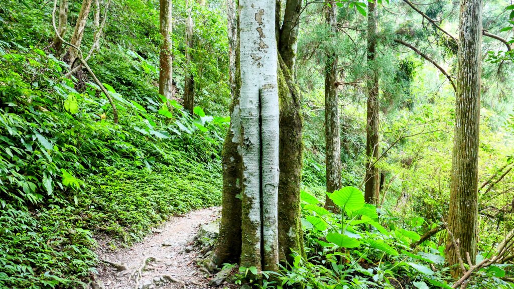 雲森瀑布_2872195