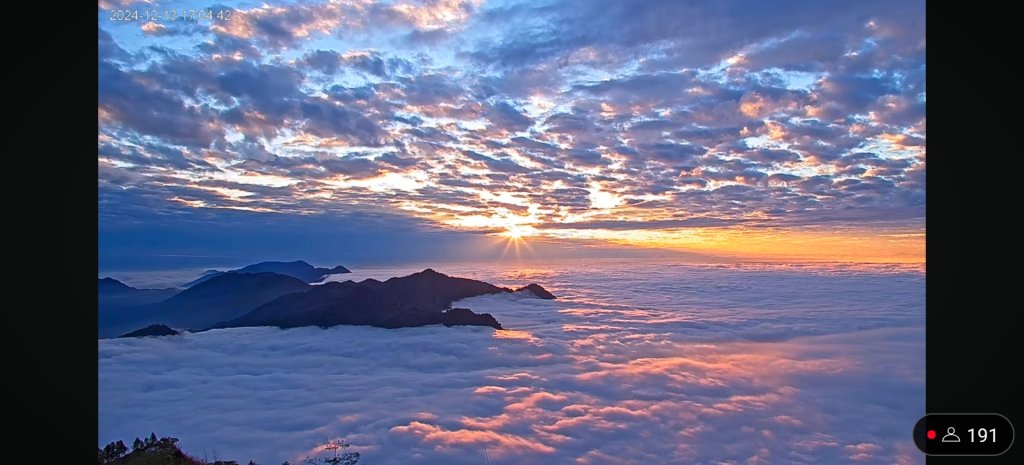 阿里山 #隙頂二延平 #頂石棹 #觀音圈 #雲海 #琉璃光 #雲瀑 #霧虹 11/17_2668185