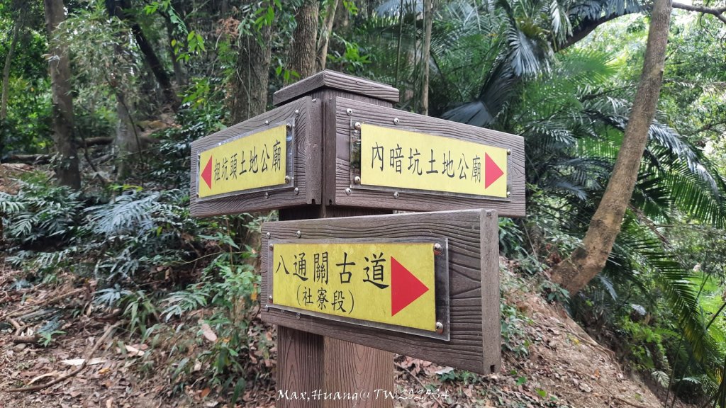 《南投》古道巡禮｜八通關古道社寮線蜈蚣崙段20251115_2937070