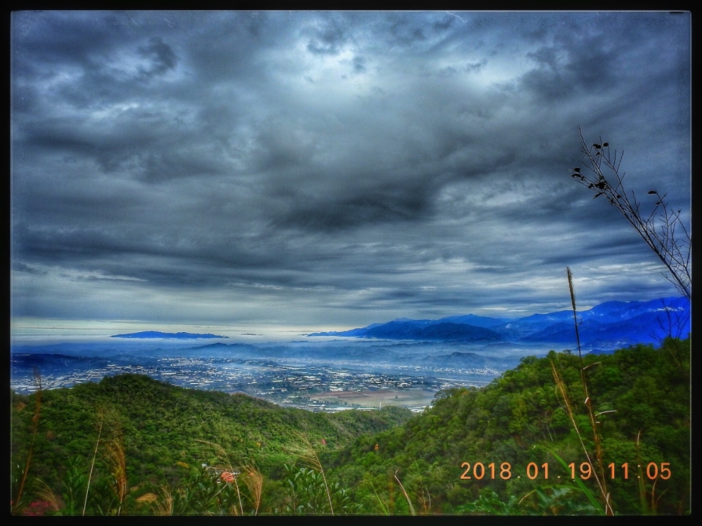 107/1/19 頭嵙山 大坑4號3號步道_262175