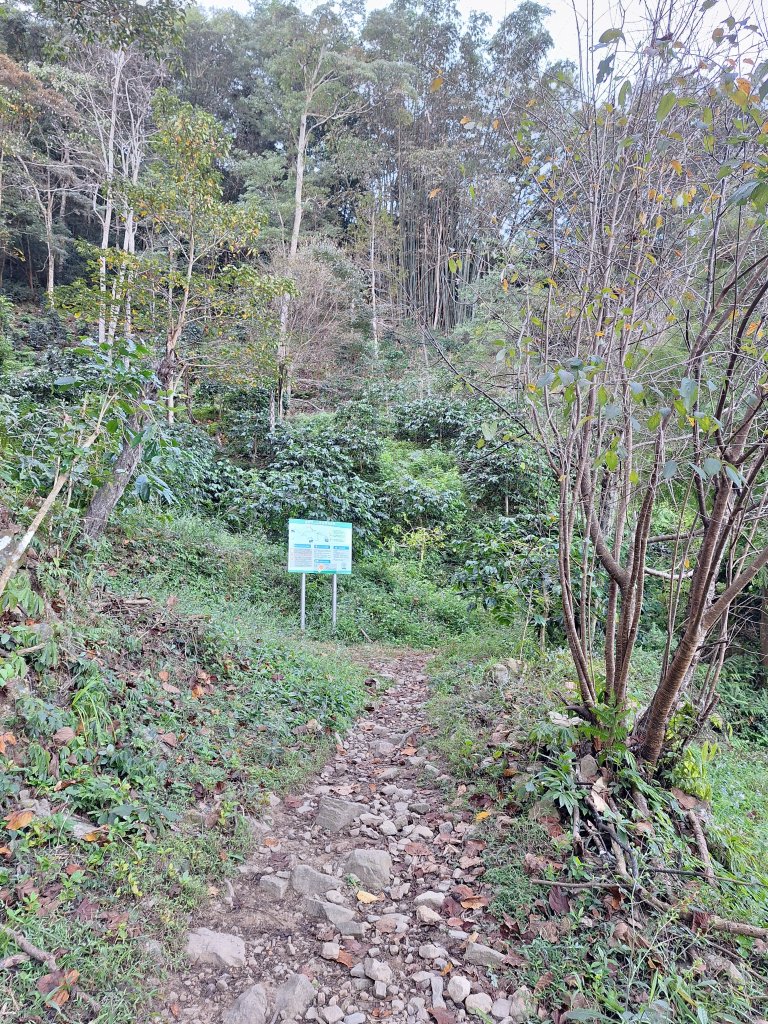 谷關蝴蝶谷瀑布20251120_2940778