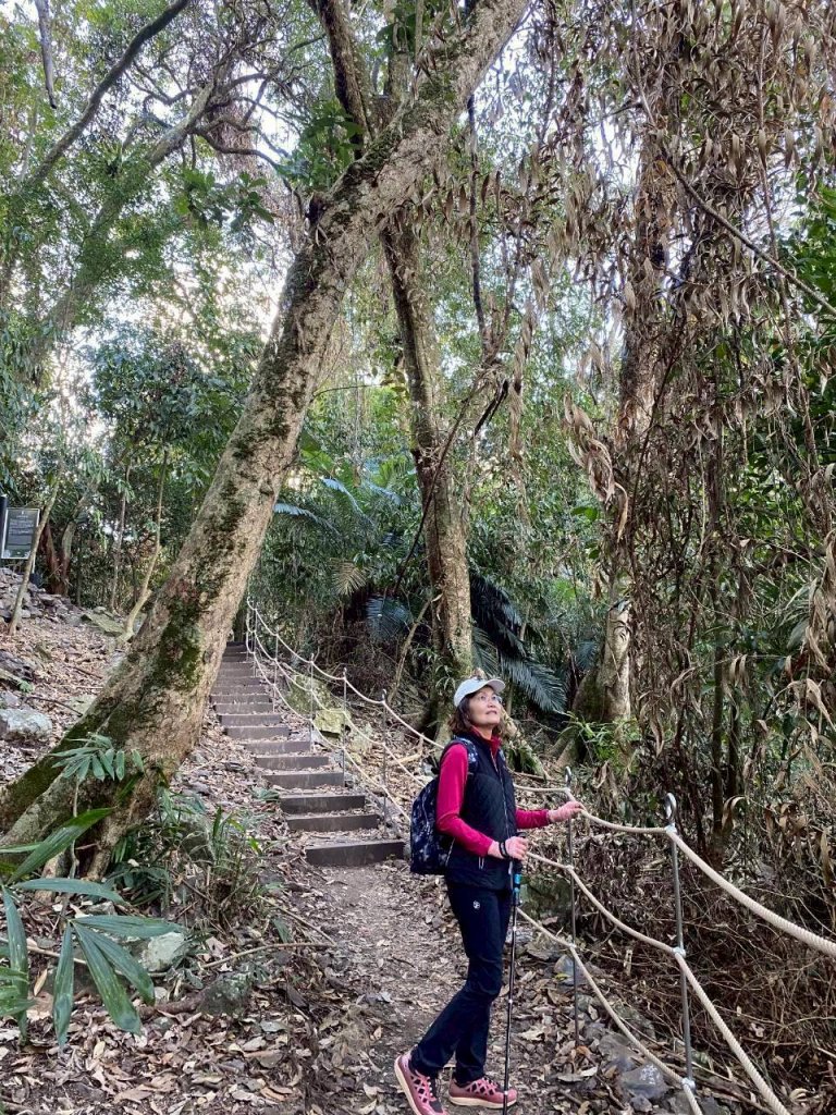 🌈1/25（日）巨人之手~雪山坑步道+東勢客家文化園區+九房3D彩繪村✨FB：熊熊趴爬走🌈_2987953