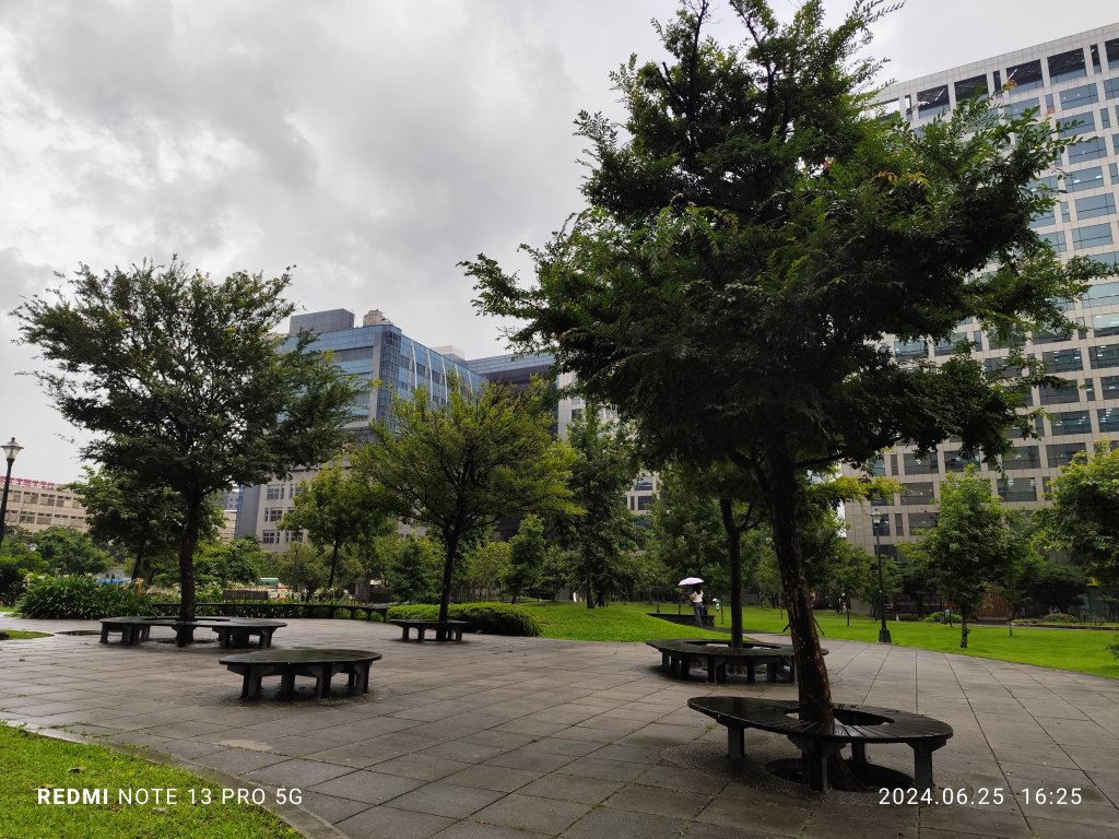 大安森林公園【走路趣尋寶】；大港墘公園、瑞陽公園【臺北健走趣】_2535171
