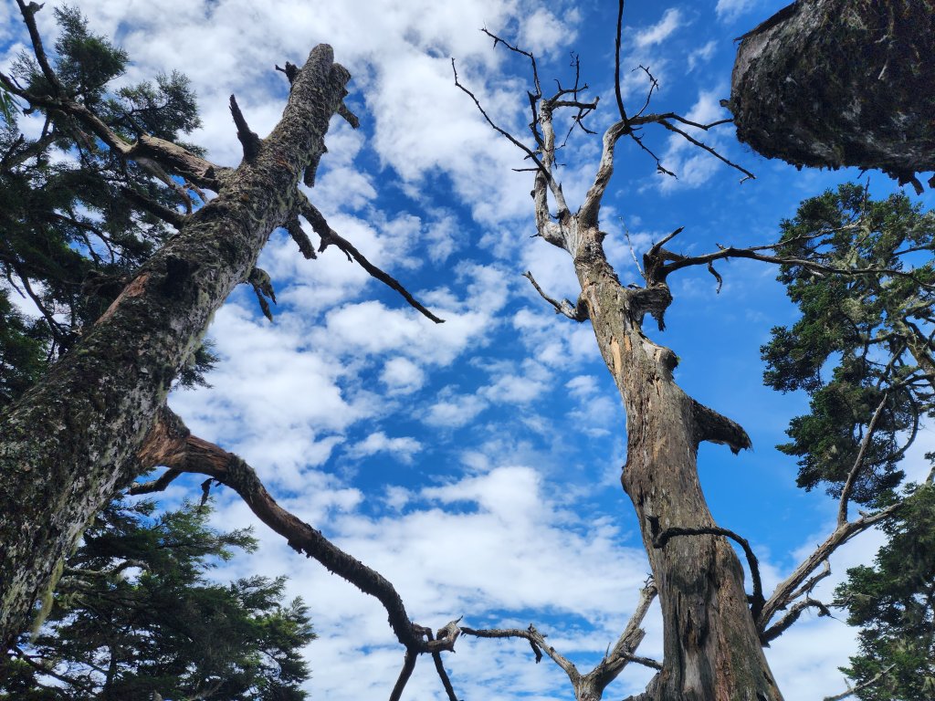 玉山主峰．北峰．西峰之美_2394966