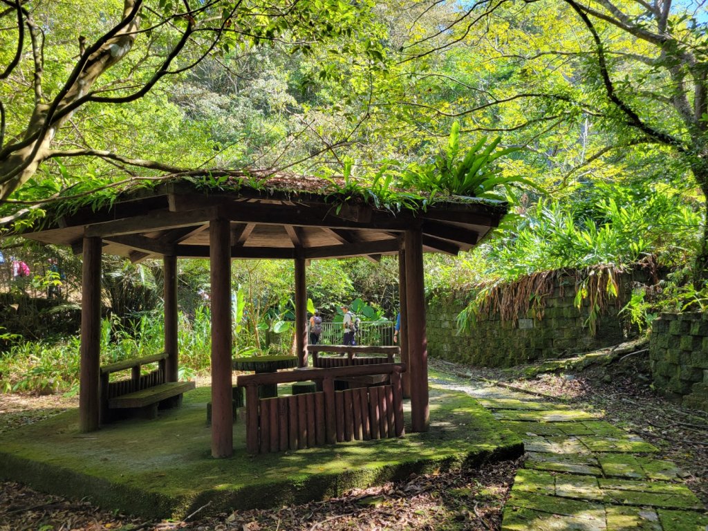 2022.08.30 坪林-鬼子瀨尖山_1829590