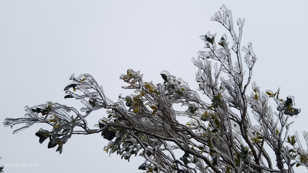#霧淞 #雲海 #雲瀑 #霧虹 #太平山 #望洋山 #觀雲步道 #翠峰道路  2/8_2995352