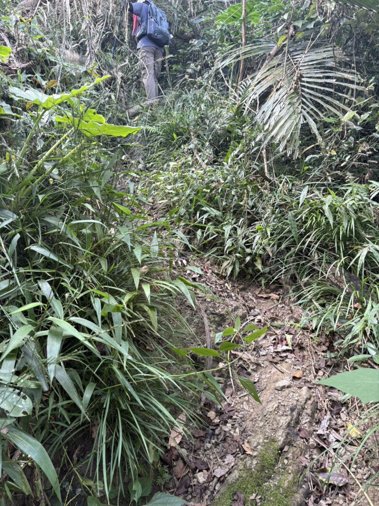 烏山縱走北段 雲山寺至刣牛湖山(途經風空子山.孟璋山.烏山.刣牛湖山北峰)_2928819