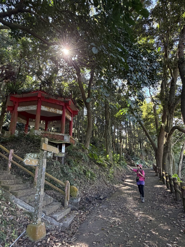 鳴鳳山-錫隘古道大O繞-20260125_2991417
