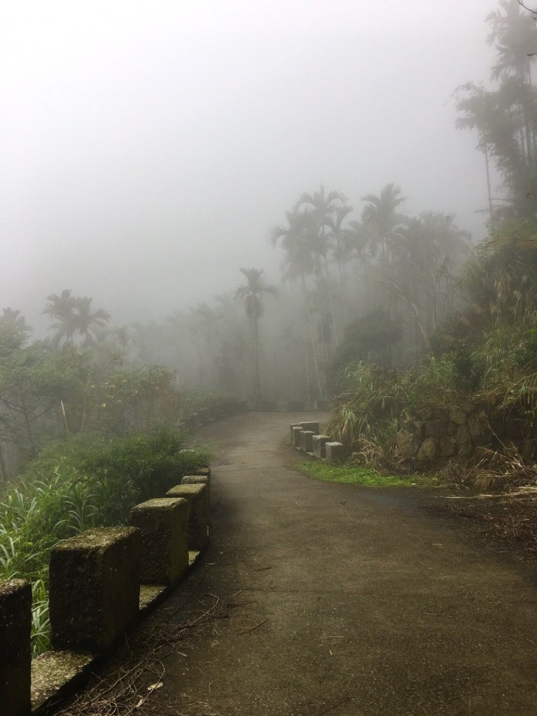 台南第一高山大凍山_240796