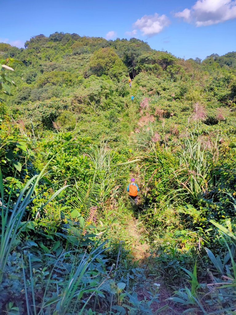 ［七堵縱走］（龍鳯山+萬壽山+瑪陵尖群峰）封面圖