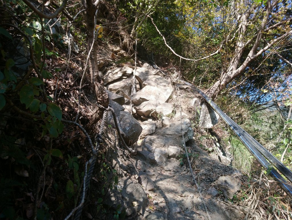 屋我尾山(麗陽線)_821161