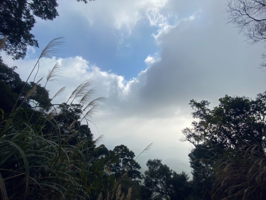 台南大凍山 1241M 小百岳#63_1270934