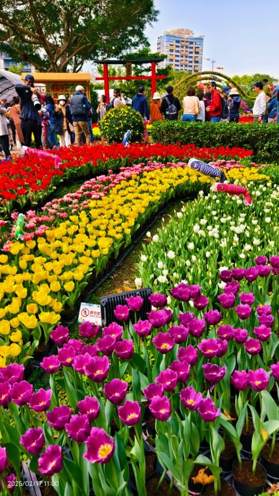 翡翠水庫壩頂&士林官邸鬱金香 2/17_2714105