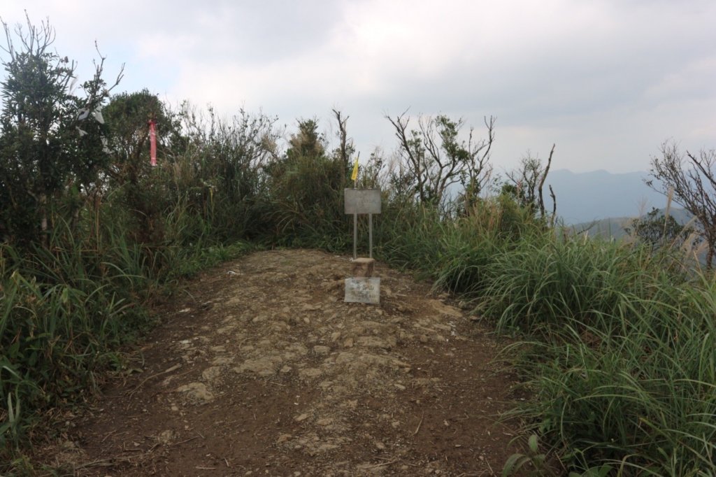 抹茶山上有草莓_447975