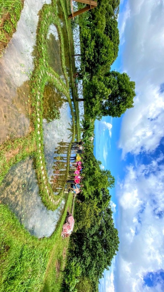 2020/08/21楊廷理古道與灰窯瀑布_1091738