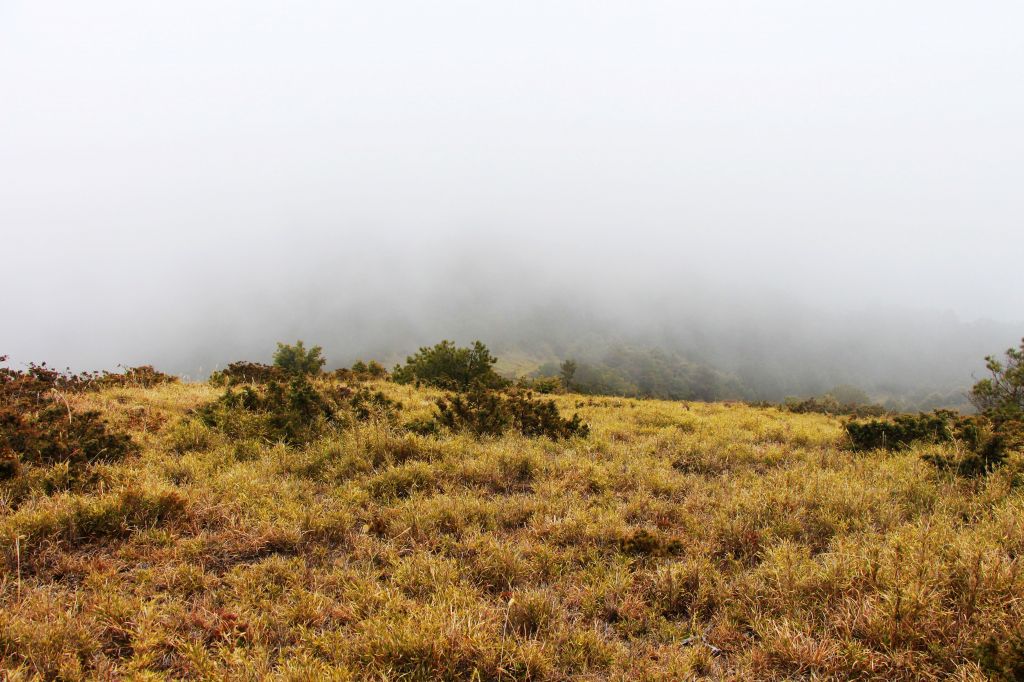 閂山、鈴鳴山 ~ 山巔雲端 , 與美麗山林_307158