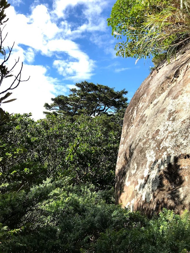 那結山(那是山)20171127_1962769