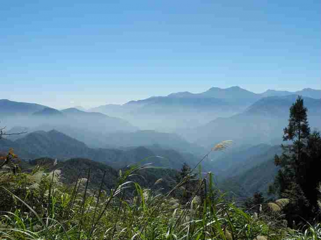 太平山山毛櫸步道_1150