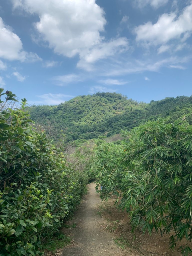 小獅山、待老坑、銀河洞縱走_1235711