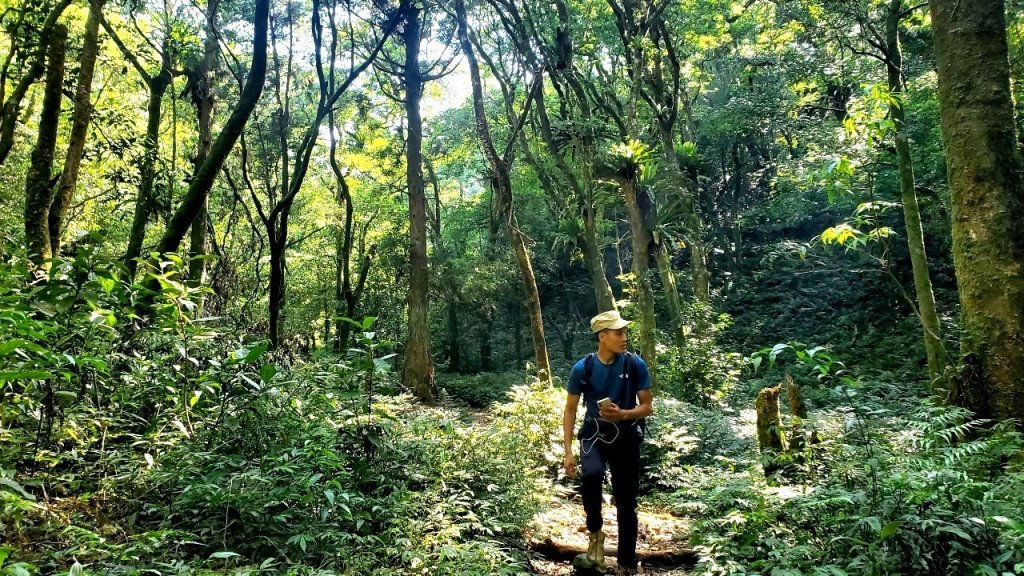 【中級山】拔刀爾山，縱走美鹿山南峰_2743629