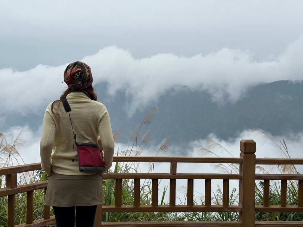 金柑樹山 杉林溪森林遊樂區_2449236