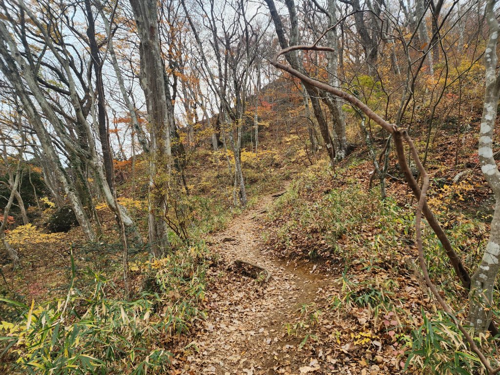 20251125登月居山遊袋田瀑布順遊舊上岡小學校_2958371