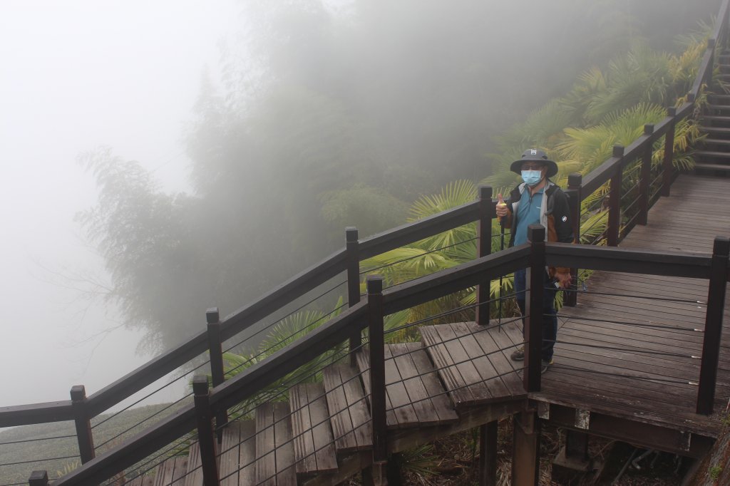 20230408嘉義縣頂石棹步道_2109426