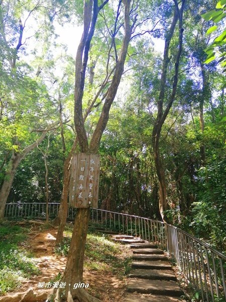 彰化田中~蓊鬱山林賞景趣~田中森林步道_1043630