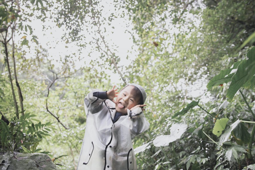 20200405-姜子寮絕壁步道_914459