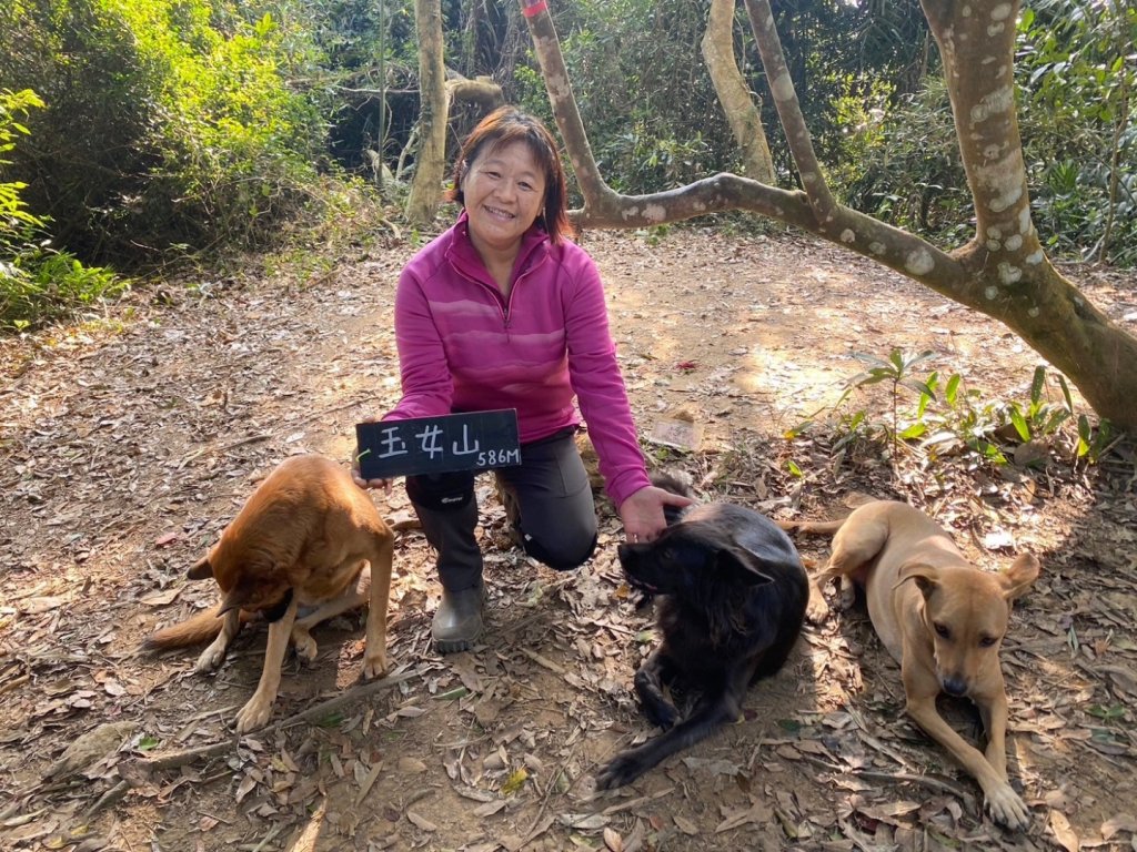 苗栗金童山、玉女山、汶水山封面圖